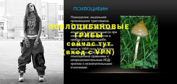 стафф Алексин