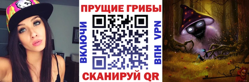 Купить  Челябинск  Псилоцибиновые грибы Psilocybe 